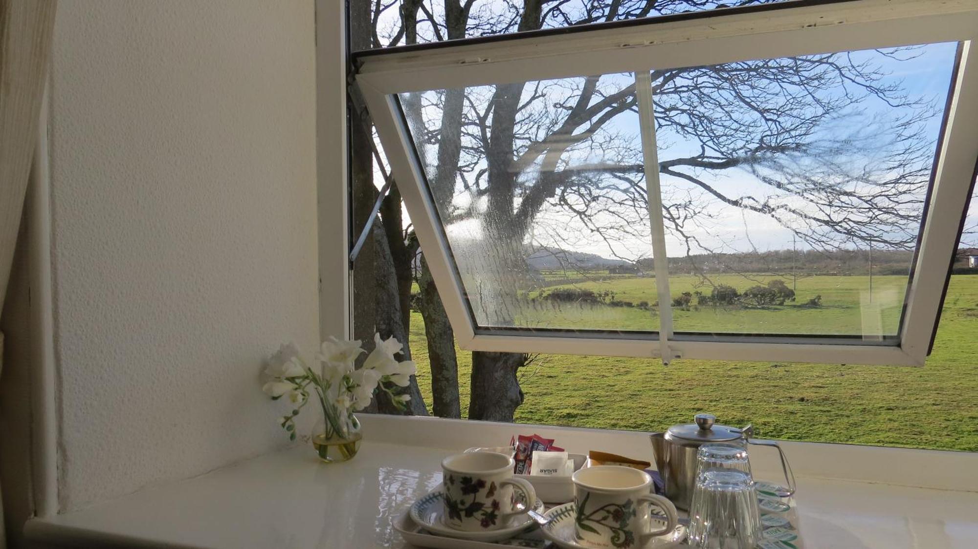 Gwrach Ynys Country Guest House 할레흐 외부 사진