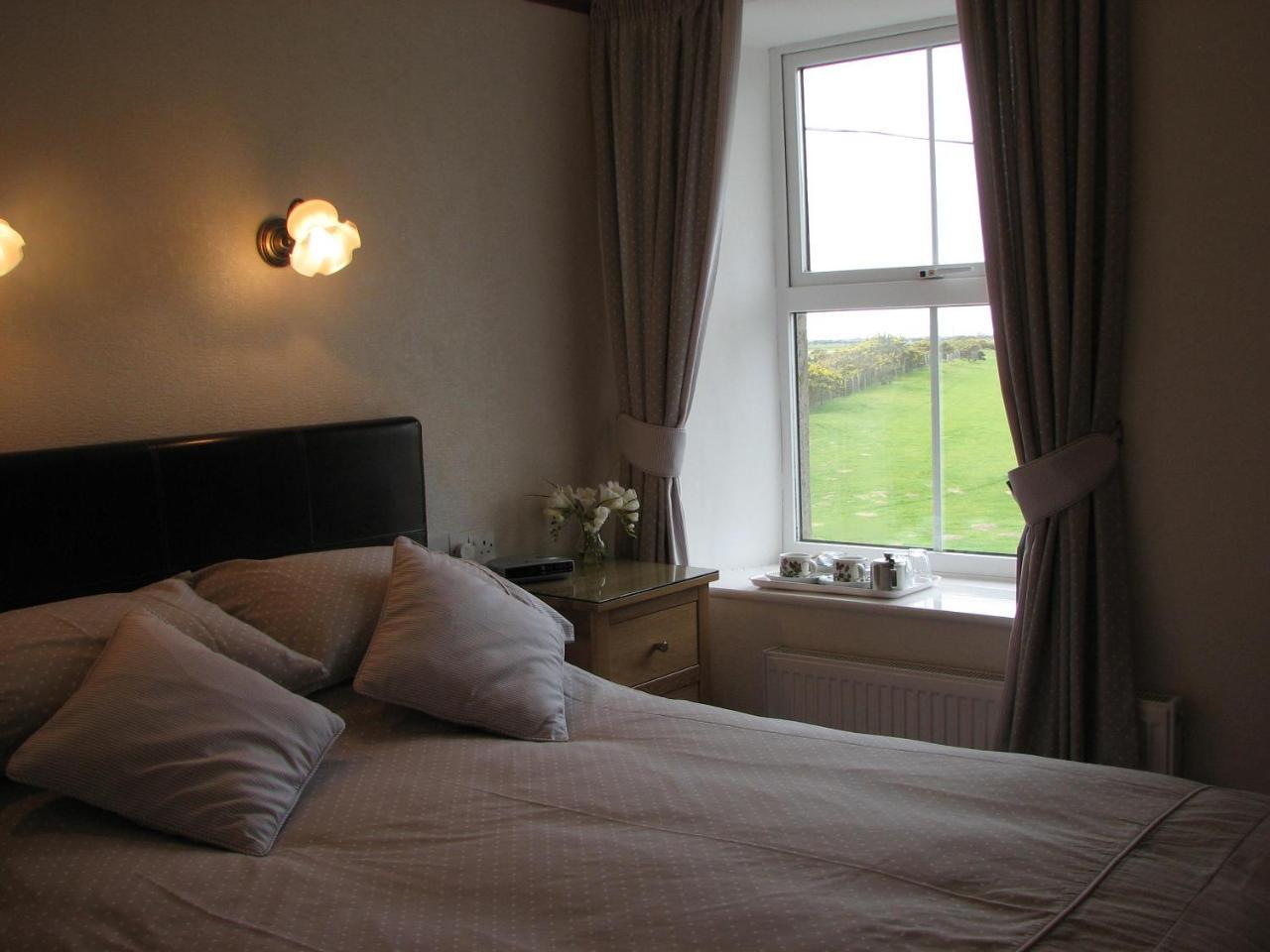 Gwrach Ynys Country Guest House 할레흐 외부 사진